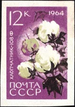 sowjetische Postkarte mit Baumwolle