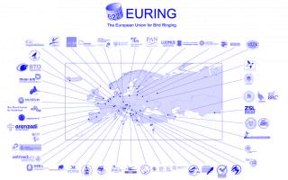 Member organisations of the European Union for Bird Ringing © EURING